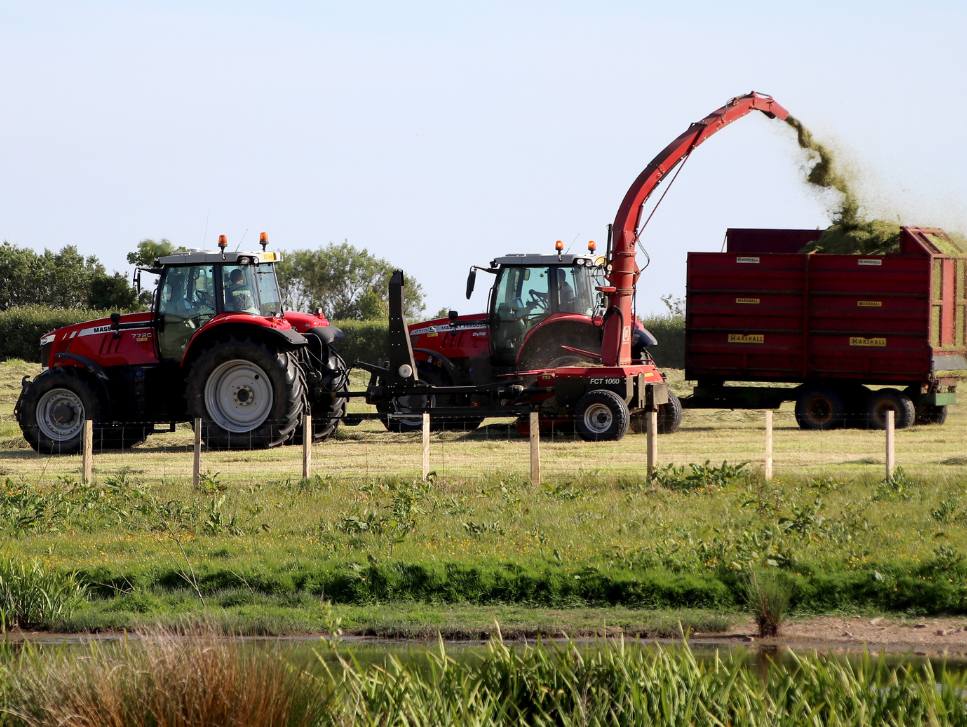 Animal_Bedding_-_Nanhoron_Tractors_-_Nanhoron_Farms