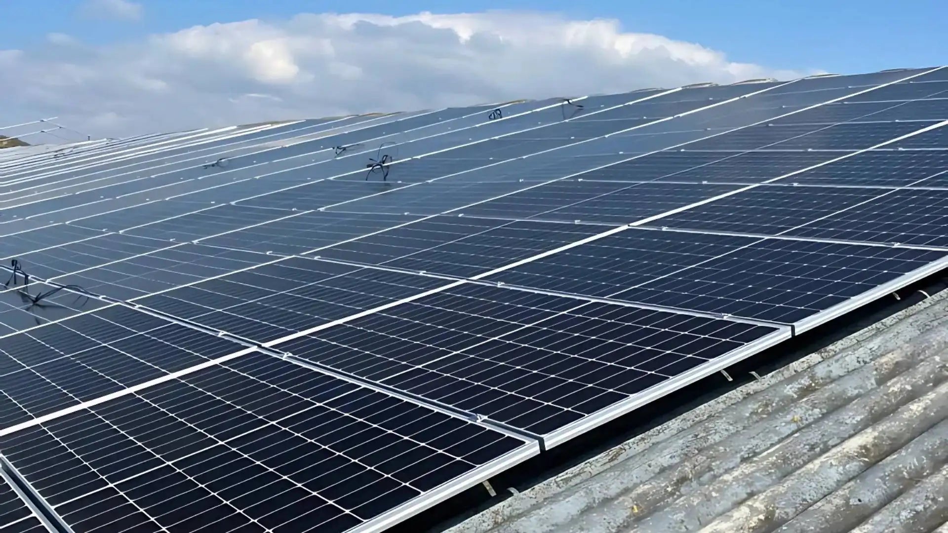 Animal_Bedding_-_Solar_Panel_Sustainability_-_Nanhoron_Farms