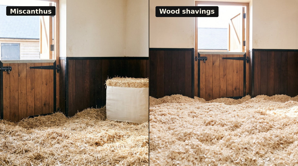 Illustrative comparison of a miscanthus bed and a wood-shavings bed in horse stables