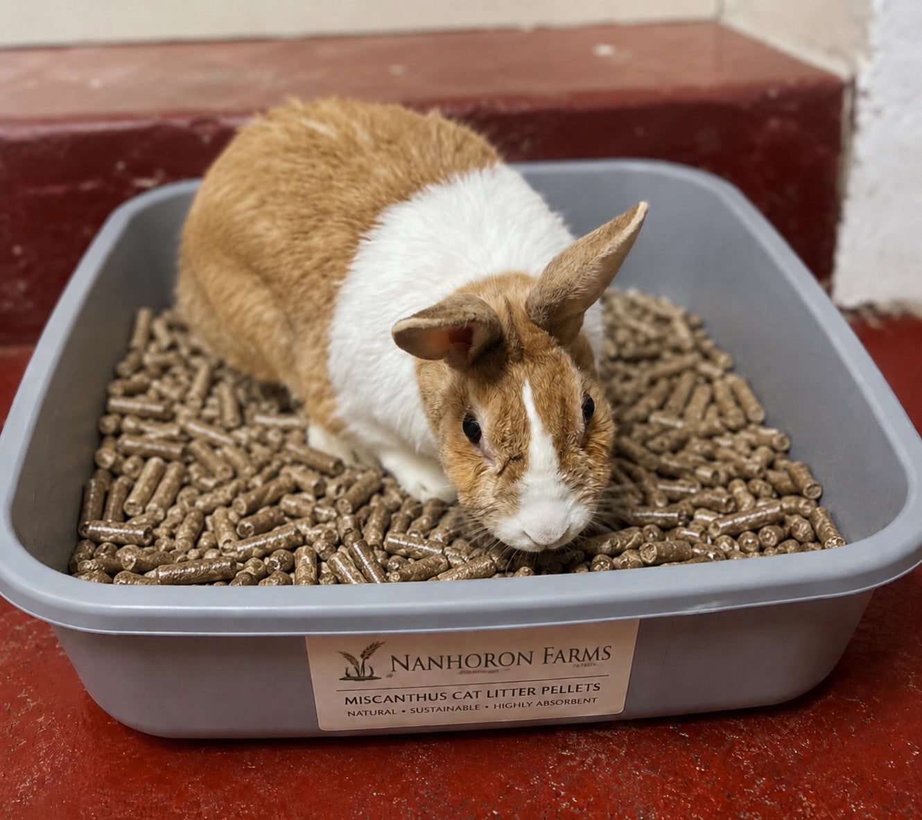 Small Animal Bedding & Litter Pellets 30L = 15KG