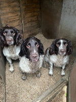 Load image into Gallery viewer, LOCAL DELIVERY - Miscanthus Animal Bedding PALLET 30s - Nanhoron FarmsAnimal Bedding
