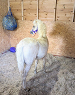 Load image into Gallery viewer, LOCAL DELIVERY - Miscanthus Animal Bedding PALLET 30s - Nanhoron FarmsAnimal Bedding
